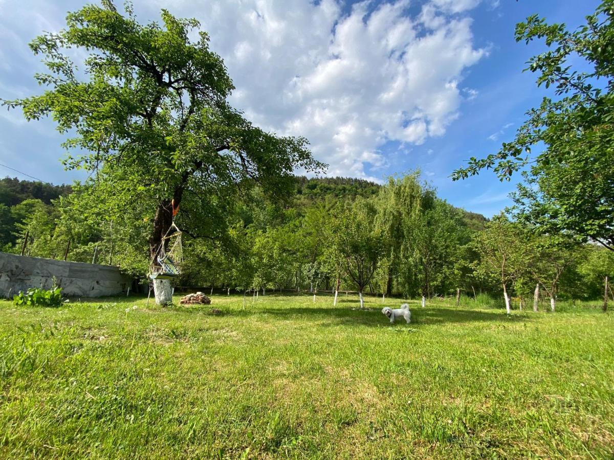 Casa Carbunaru Тыргу-Окна Экстерьер фото