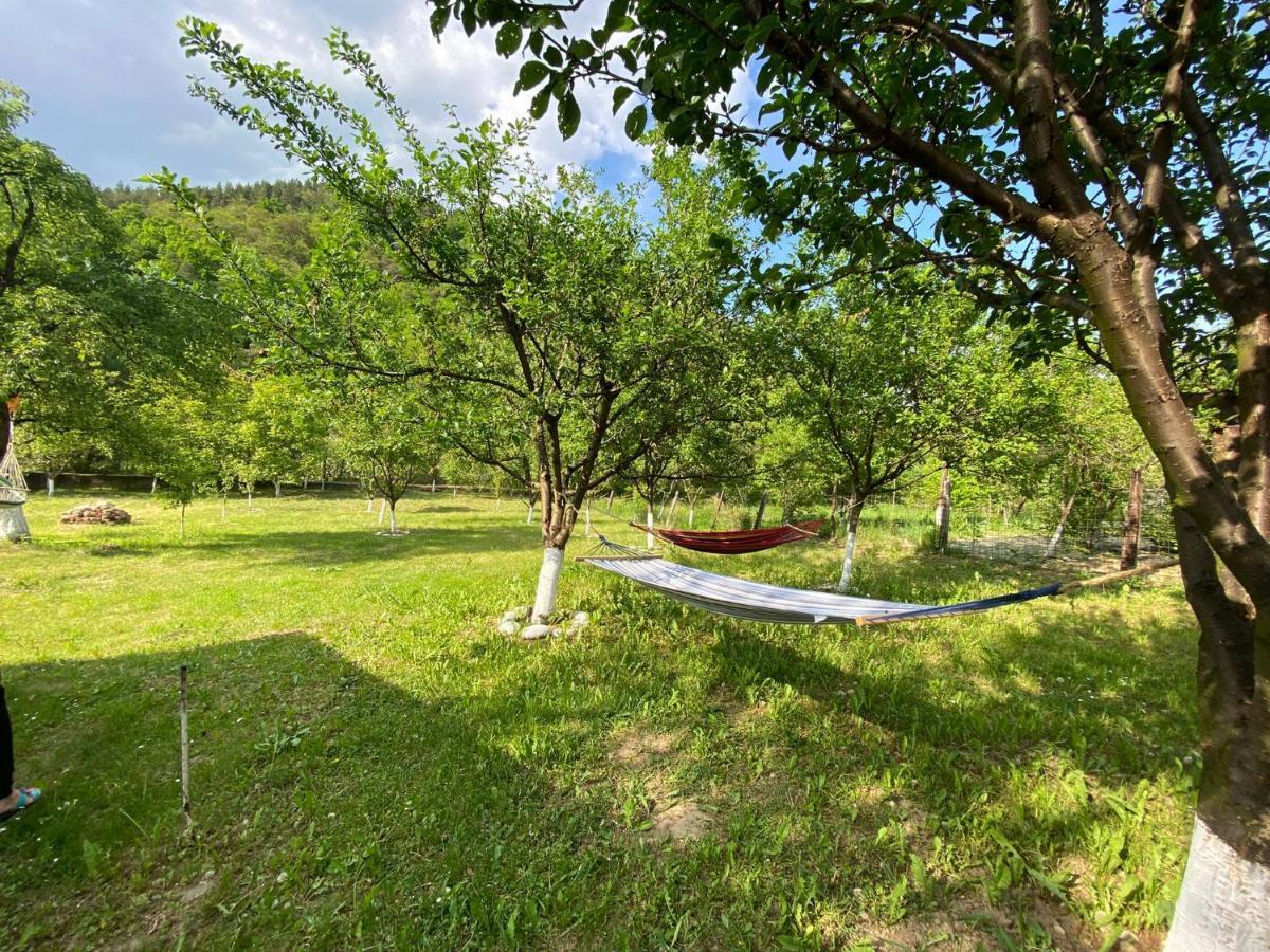 Casa Carbunaru Тыргу-Окна Экстерьер фото
