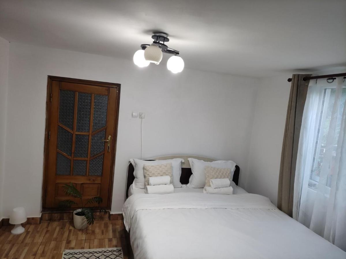 Casa Carbunaru Тыргу-Окна Экстерьер фото