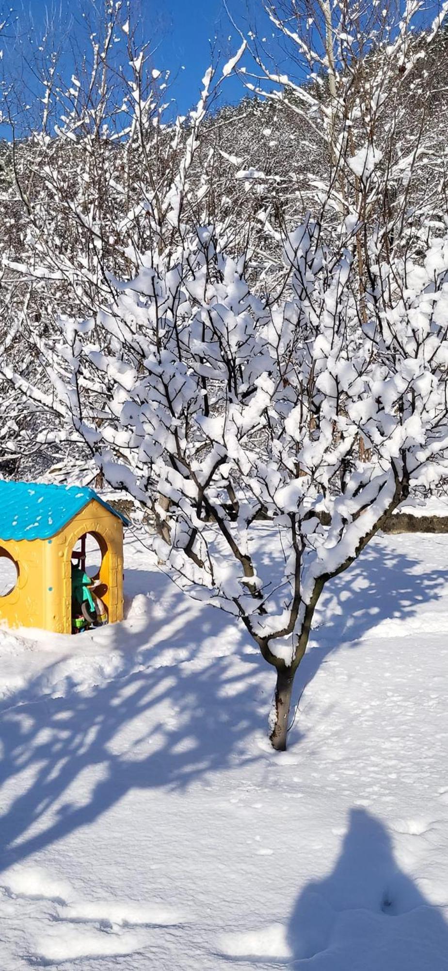 Casa Carbunaru Тыргу-Окна Экстерьер фото