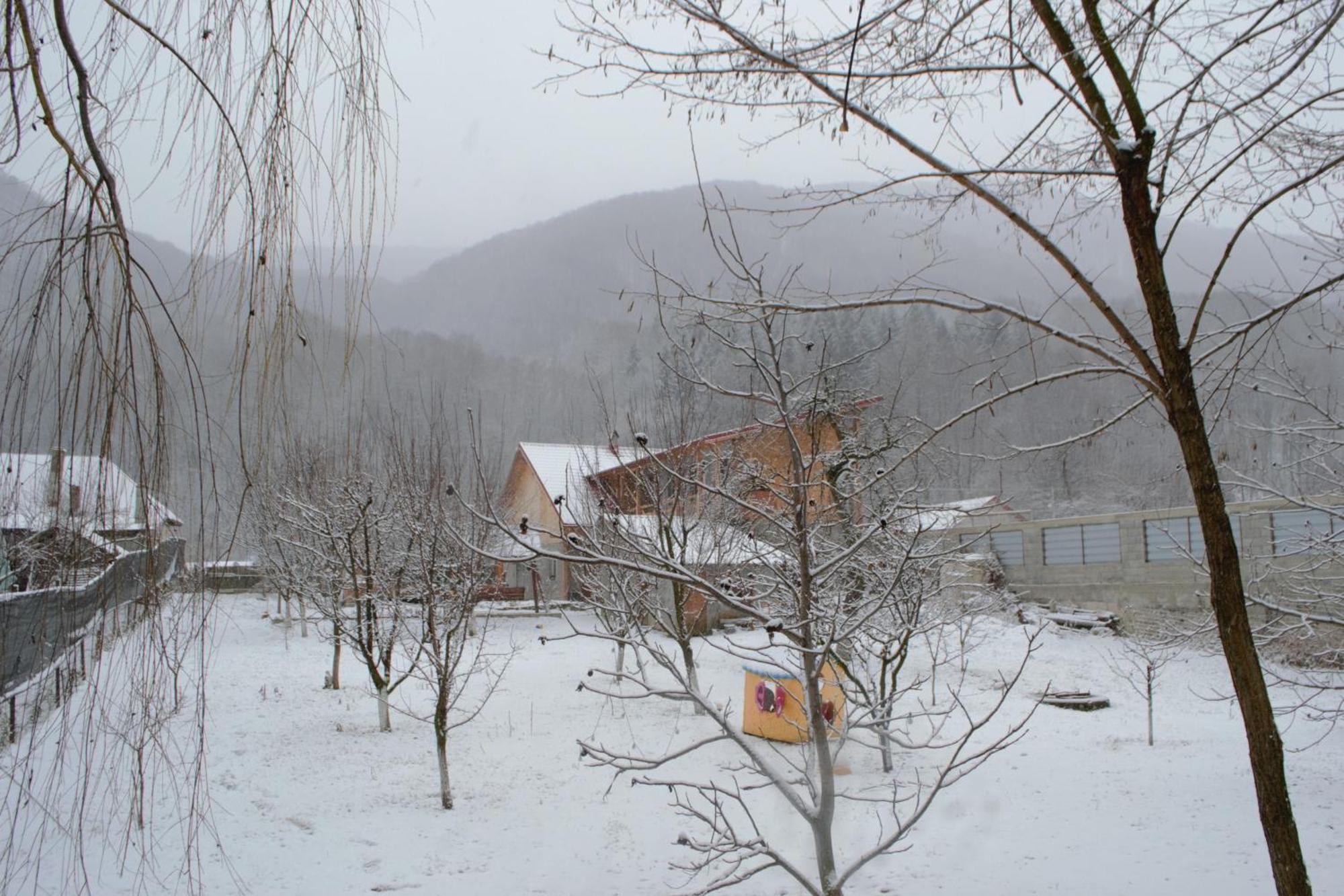 Casa Carbunaru Тыргу-Окна Экстерьер фото