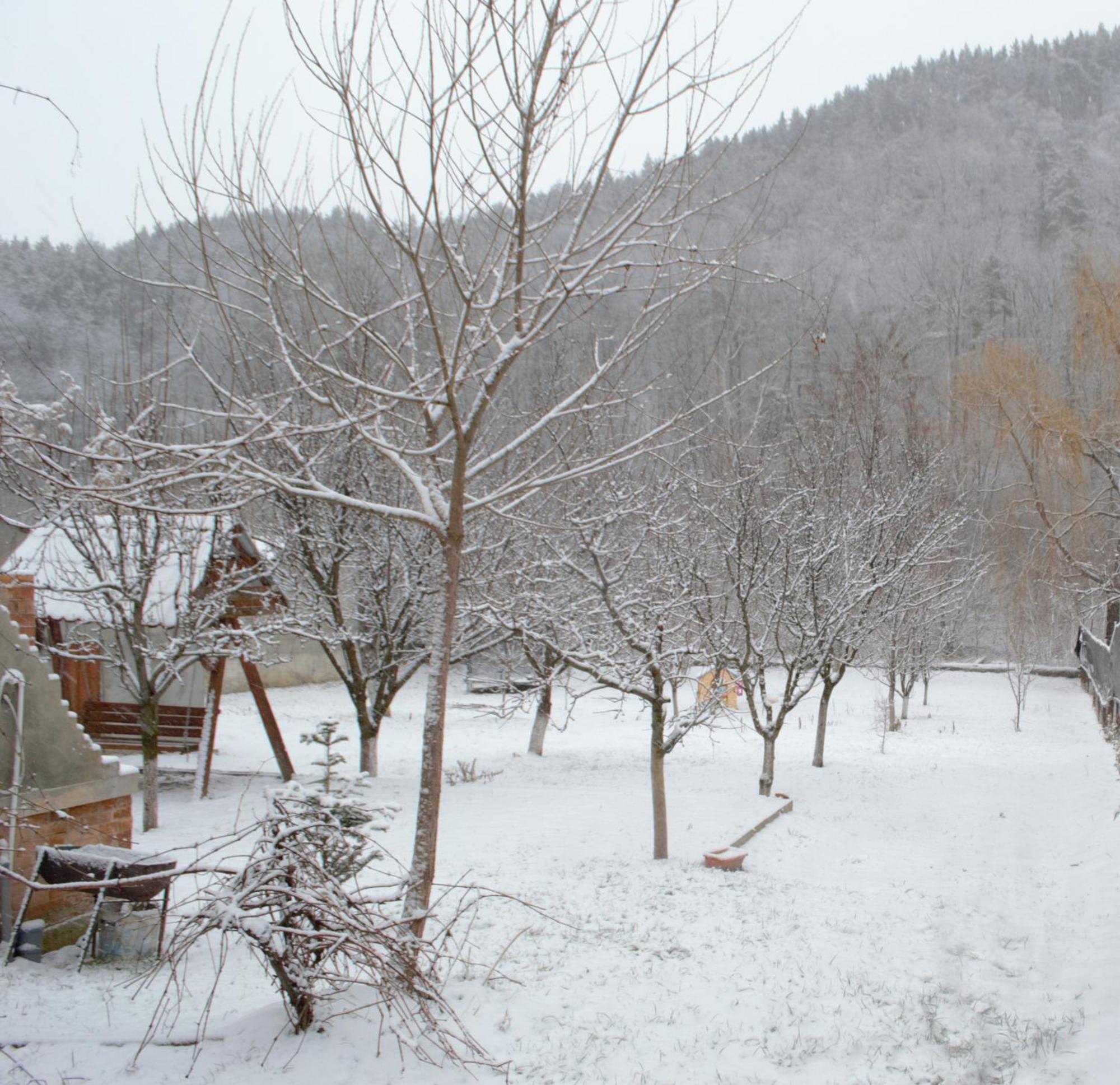 Casa Carbunaru Тыргу-Окна Экстерьер фото